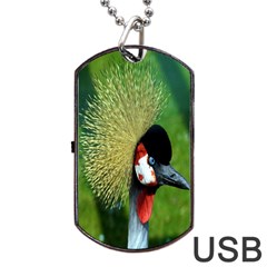 Bird Hairstyle Animals Sexy Beauty Dog Tag Usb Flash (one Side) by Mariart