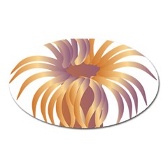 Sea Anemone Oval Magnet