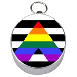 Straight Ally flag Silver Compasses Front