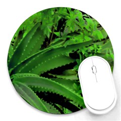 Vivid Tropical Design Round Mousepads by dflcprints