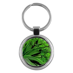 Vivid Tropical Design Key Chains (round)  by dflcprints