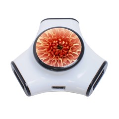 Dahlia Flower Joy Nature Luck 3-port Usb Hub by Nexatart