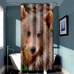 Baby Bear Animals Shower Curtain 36  X 72  (stall) 