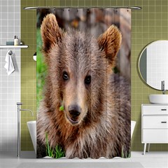 Baby Bear Animals Shower Curtain 48  X 72  (small) 