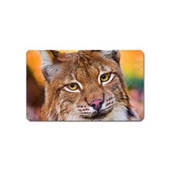 Tiger Beetle Lion Tiger Animals Magnet (name Card)