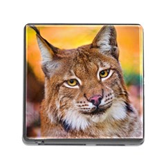 Tiger Beetle Lion Tiger Animals Memory Card Reader (square) by Mariart