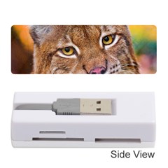 Tiger Beetle Lion Tiger Animals Memory Card Reader (stick)  by Mariart