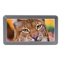 Tiger Beetle Lion Tiger Animals Memory Card Reader (mini) by Mariart