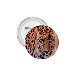 Tiger Beetle Lion Tiger Animals Leopard 1 75  Buttons