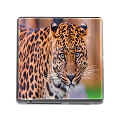 Tiger Beetle Lion Tiger Animals Leopard Memory Card Reader (square) by Mariart