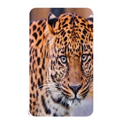 Tiger Beetle Lion Tiger Animals Leopard Memory Card Reader by Mariart