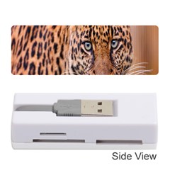 Tiger Beetle Lion Tiger Animals Leopard Memory Card Reader (stick)  by Mariart