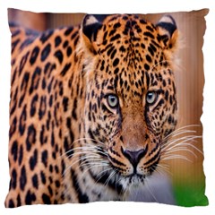 Tiger Beetle Lion Tiger Animals Leopard Large Cushion Case (two Sides) by Mariart