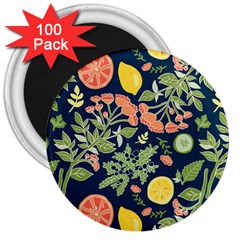 Summer Fruite Orange Lemmon Tomato 3  Magnets (100 Pack)