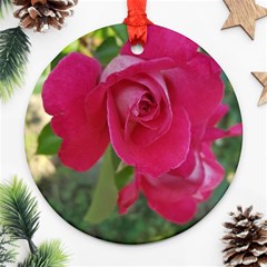 Romantic Red Rose Photography Ornament (round) by yoursparklingshop