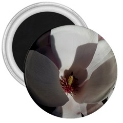 Magnolia Floral Flower Pink White 3  Magnets by yoursparklingshop