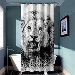 Lion Wildlife Art And Illustration Pencil Shower Curtain 36  X 72  (stall)  by Celenk