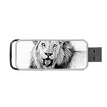 Lion Wildlife Art And Illustration Pencil Portable USB Flash (Two Sides) Front