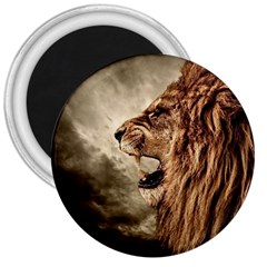 Roaring Lion 3  Magnets