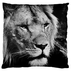 Africa Lion Male Closeup Macro Large Flano Cushion Case (one Side) by BangZart