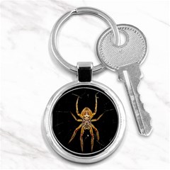 Insect Macro Spider Colombia Key Chains (round)  by BangZart