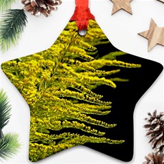 Golden Rod Gold Diamond Ornament (star) by BangZart