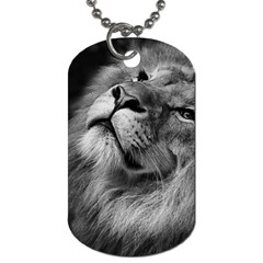 Feline Lion Tawny African Zoo Dog Tag (one Side) by BangZart