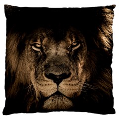 African Lion Mane Close Eyes Large Flano Cushion Case (one Side) by Celenk