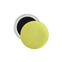 Avocado 1 75  Magnets by snowwhitegirl
