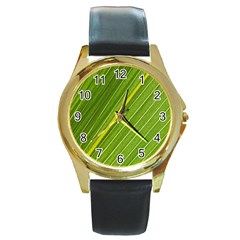 Leaf Plant Nature Pattern Round Gold Metal Watch by Nexatart