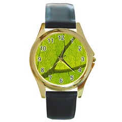 Green Leaf Plant Nature Structure Round Gold Metal Watch by Nexatart