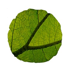 Green Leaf Plant Nature Structure Standard 15  Premium Flano Round Cushions by Nexatart