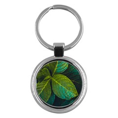 Green Plant Leaf Foliage Nature Key Chains (round)  by Nexatart