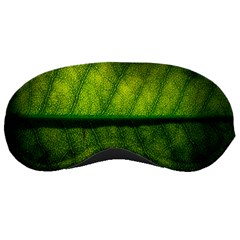 Leaf Nature Green The Leaves Sleeping Masks by Nexatart