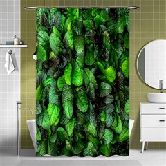 The Leaves Plants Hwalyeob Nature Shower Curtain 48  X 72  (small)  by Nexatart