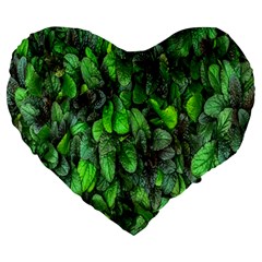 The Leaves Plants Hwalyeob Nature Large 19  Premium Heart Shape Cushions by Nexatart