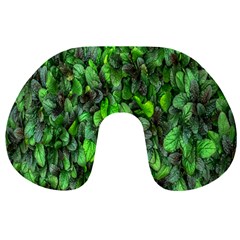 The Leaves Plants Hwalyeob Nature Travel Neck Pillows by Nexatart