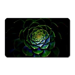 Nature Desktop Flora Color Pattern Magnet (rectangular) by Nexatart