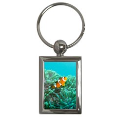 Clownfish 3 Key Chains (rectangle)  by trendistuff