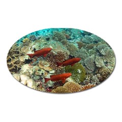 Coral Garden 1 Oval Magnet by trendistuff