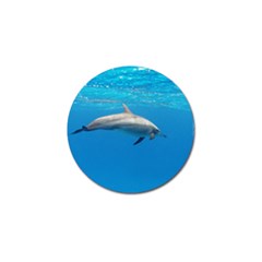 Dolphin 3 Golf Ball Marker (10 Pack) by trendistuff