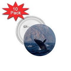 Humpback 1 1 75  Buttons (10 Pack) by trendistuff