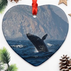 Humpback 1 Heart Ornament (two Sides) by trendistuff