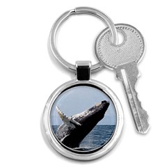 Humpback 2 Key Chains (round)  by trendistuff