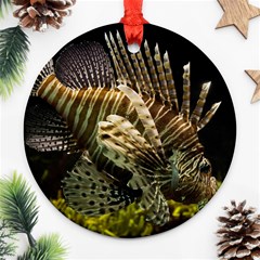 Lionfish 3 Round Ornament (two Sides)