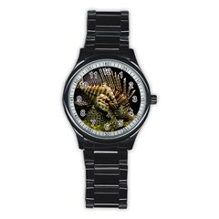 Lionfish 3 Stainless Steel Round Watch by trendistuff