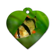 Tiger Barb Dog Tag Heart (two Sides) by trendistuff