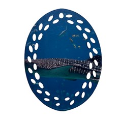 Whale Shark 1 Ornament (oval Filigree)