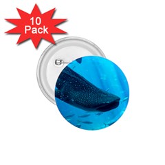 Whale Shark 2 1 75  Buttons (10 Pack) by trendistuff