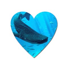 Whale Shark 2 Heart Magnet by trendistuff